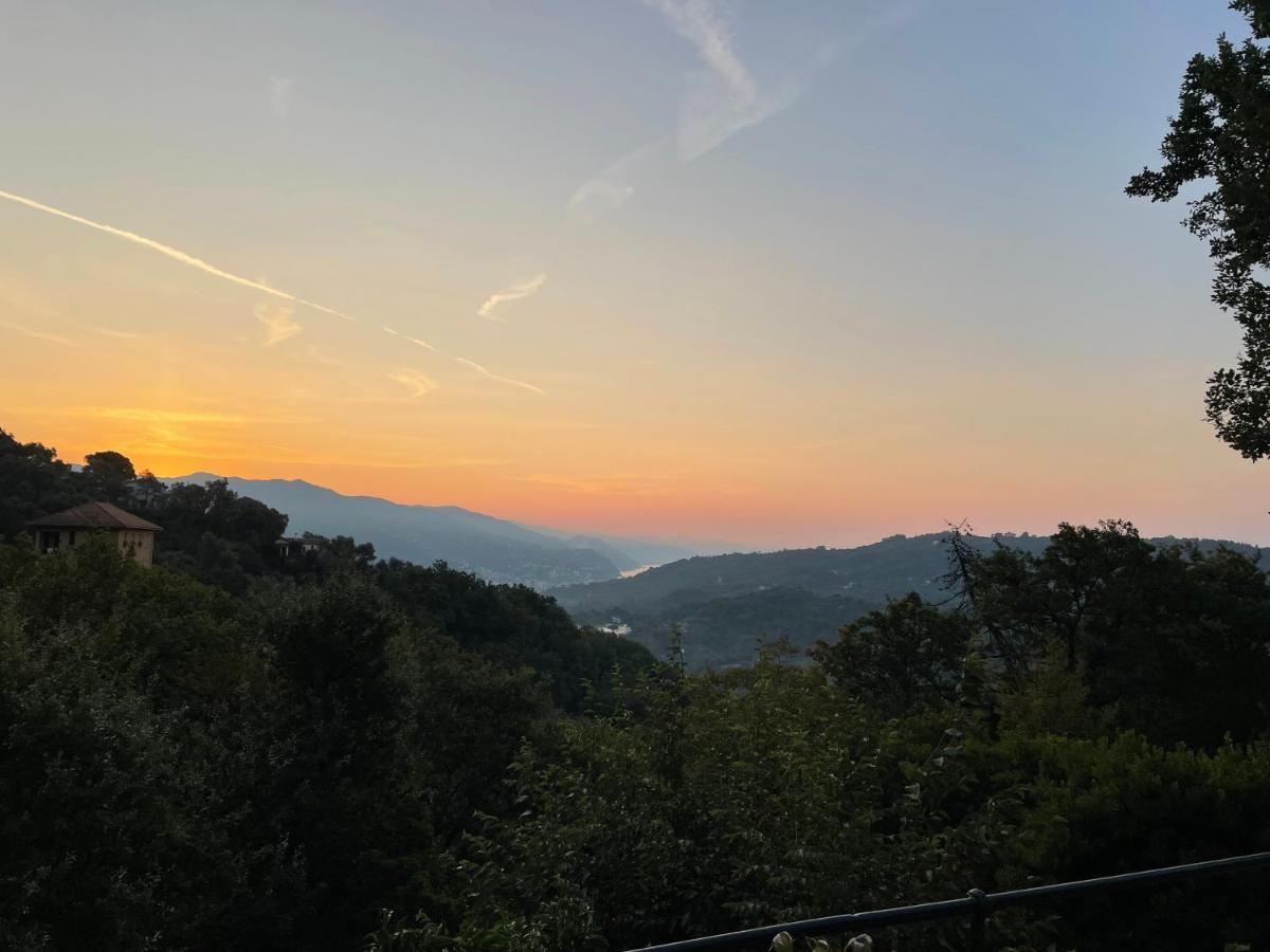 라팔로 La Riviera Bed & Breakfast B&B 외부 사진