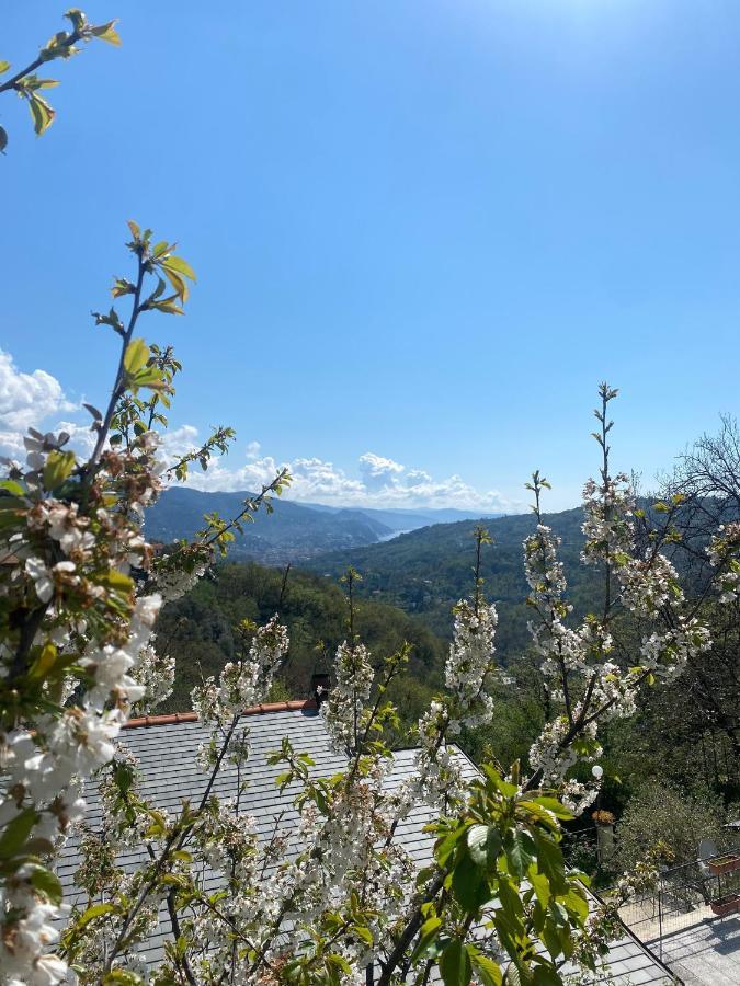 라팔로 La Riviera Bed & Breakfast B&B 외부 사진